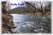 Cosby Creek in the Great Smoky Mountains